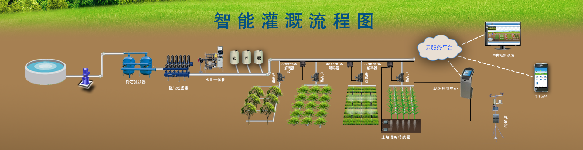 節水好色TV在线观看