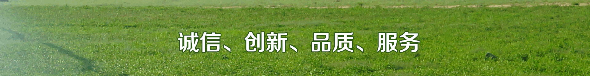 好色TV在线观看係統