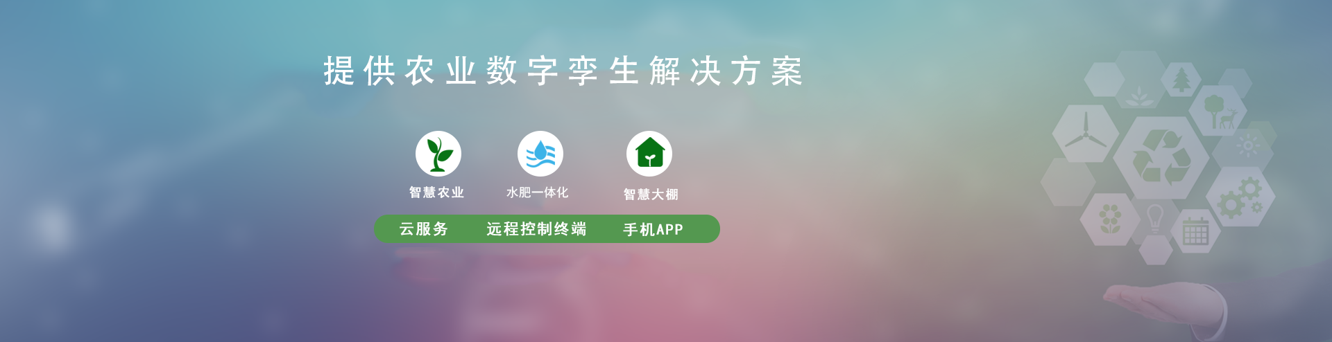 節水好色TV在线观看