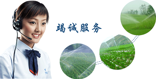  節水好色TV在线观看
