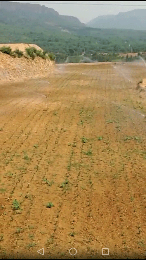 節水好色TV在线观看