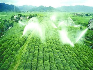 農業好色TV在线观看