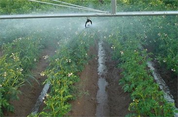 節水好色TV在线观看廠家