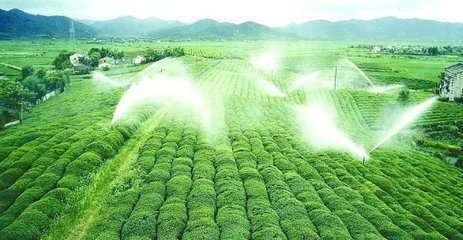 節水好色TV在线观看