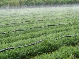 節水好色TV在线观看